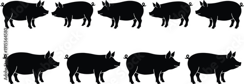 Black silhouette set of pigs standing in rows isolated on white background for livestock farming industry and organic pork meat