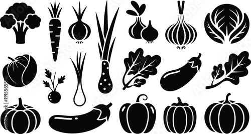 Vegetable icons set including broccoli carrots onions pumpkins and leafy greens on white background