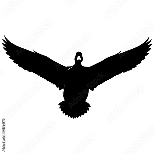 Canada Goose Silhouette Flying Open Wings Against White Background Vector