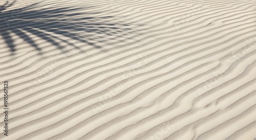 Minimalist aerial close up of sand ripples with palm leaf shadow across sunlit dune patterns in soft warm light showing fine texture and rhythm serene composition