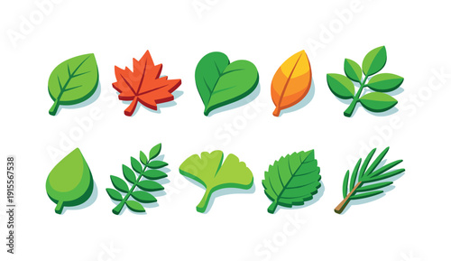 Nature, seasonal leaf flat icon set. Autumn, greenery, botanical flat icons collection