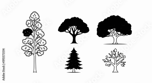 Five stylized tree illustrations deciduous, evergreen, and fruit tree