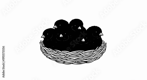 Five tiny black chicks huddle together for warmth in a twig nest