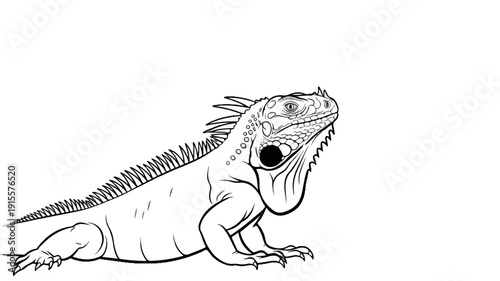 Detailed black and white line drawing of an iguana facing right, showing its spiky crest