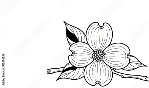 Detailed black and white sketch of a blooming flower with leaves