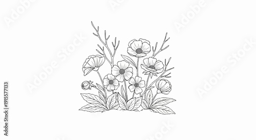 Delicate sketch of wild buttercup flowers and buds