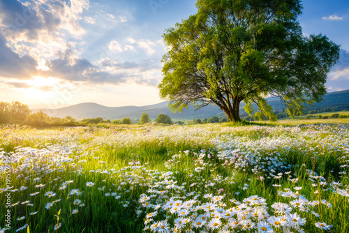 Serene meadow with a solitary tree under a bright sky and blooming flowers