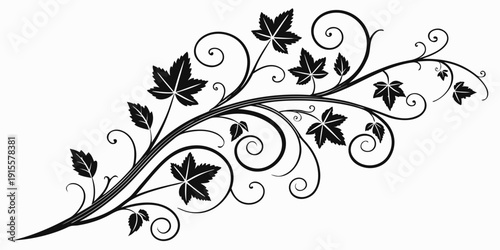 Elegant black and white floral vine design with intricate swirls and leaves