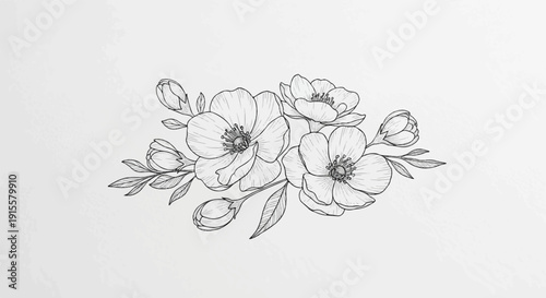 Delicate floral sketch with blooming flowers and buds