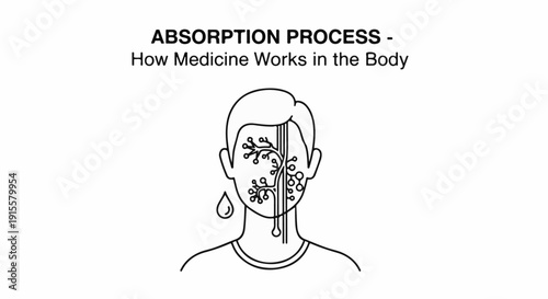 Diagram shows head with veins absorbing liquid droplet