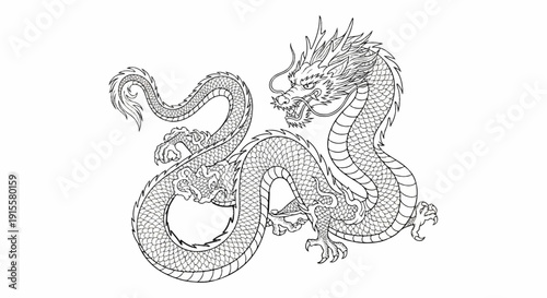Detailed traditional oriental dragon illustration in black ink on white