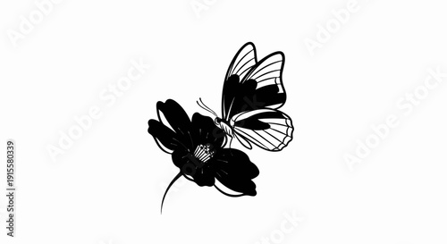 Delicate black and white illustration of a butterfly on a dark flower
