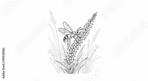 Detailed line art of a bee collecting nectar from a tall flower surrounded by grass
