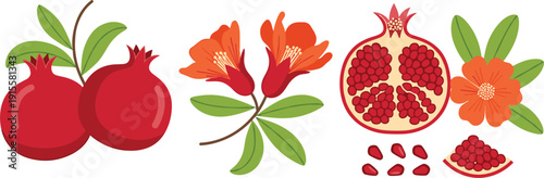 Fresh red pomegranate fruit set with whole pomegranates half sliced fruit showing seeds and blooming flower branch with green leaves on white background.
