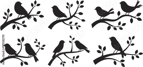 Set of bird silhouettes perched on tree branches showing peaceful nature wildlife spring garden decor isolated black vector illustration for background design
