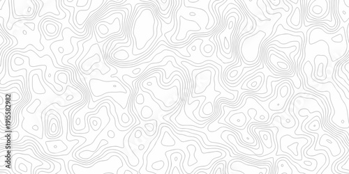 Minimal white line geometric grid outline curve counter map and wavy topography relief discovery area white, black line texture background.