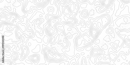 Minimal white line geometric grid outline curve counter map and wavy topography relief discovery area white, black line texture background.