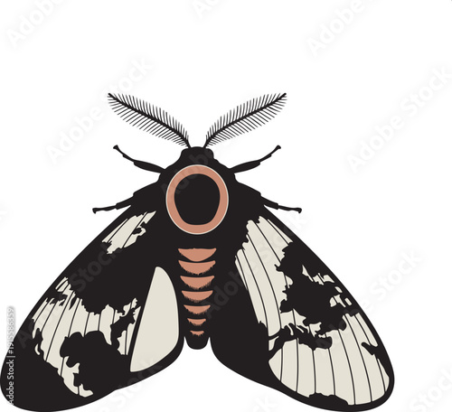 Stylized moth with world map wings and circular eye detail