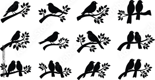 Bird silhouette illustration set, twelve black icons perched branch leaf variation nature wildlife design, vector artwork, animal and decorative theme, isolated background