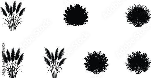 Black ornamental grass and shrub silhouettes, flat vector illustration, garden plant collection, botanical foliage elements, isolated nature clipart set