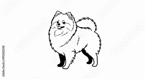 Fluffy Pomeranian dog illustration with wagging tail and happy expression