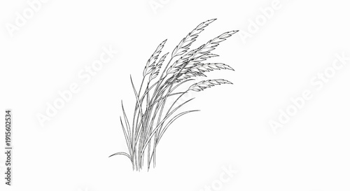 Hand-drawn sketch of wild grass plumes swaying gently