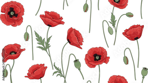 Seamless red poppy flower pattern with hand drawn botanical stems, buds and leaves