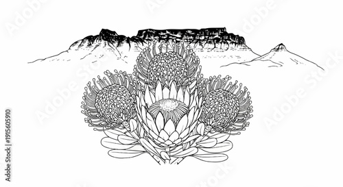 Ink sketch of a mountainous landscape with prominent flowers in the foreground