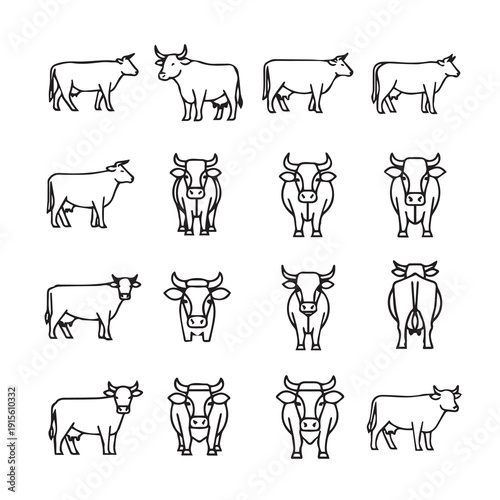 Set of Cow Icons - Side View, Front View, Back View, Dairy and Beef Cattle