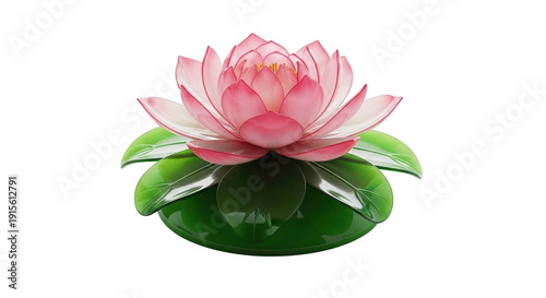 A pink lotus flower on a green lily pad