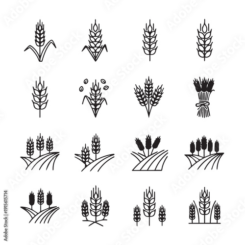 Wheat Icons Set, Cereal Grains, Agriculture Symbols, Bread Making Elements, Stock Vector