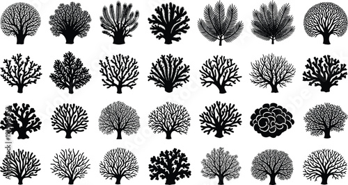 tree, silhouette, forest, nature, botanical, illustration, black, white, graphic, design, clipart, vector, woodland, foliage, isolated, tree silhouette, forest illustration, black white, botanical set