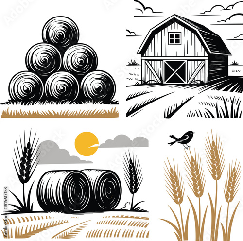 Farm harvest illustration, hay bales and barn scenes with wheat fields, rural agriculture elements, vintage vector artwork set collection design