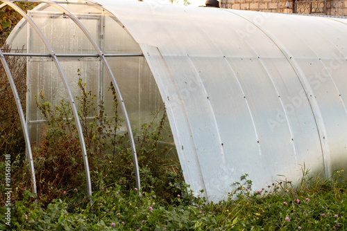 Once lively community space now silent and overrun by creeping greenery and decay