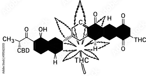 Molecular structure of CBD and THC compounds