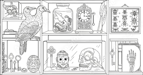 Oddities displayed on shelves a two-headed bird, preserved specimens, clock, and curiosities