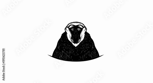 Monochromatic portrait of a monkey with white fur markings and dark fur