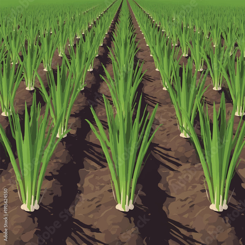 Close up view of soil and the base of green plants growing outdoors