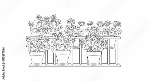 Potted plants with layered display on a stand