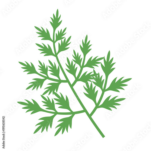 Greens. Parsley tops. Vector flat illustration.