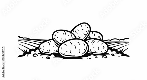 Pile of potatoes in a field, black and white line art