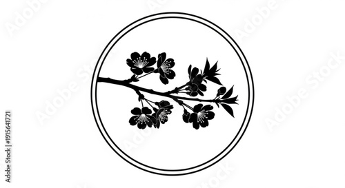 Cherry blossom branch with flowers inside a circle delicate floral illustration for spring and nature themes isolated on white background