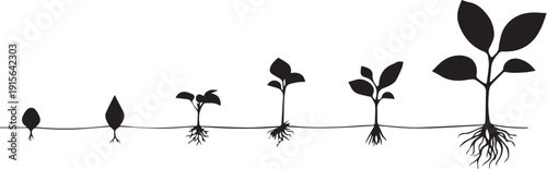 Simple text indicating "vector file" in a clean, minimalist design, suitable for graphic resources.