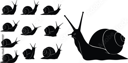 vBlack vector silhouette set of garden snails in various crawling positions for nature branding biology education slow movement concept and outdoor wildlife environment design
