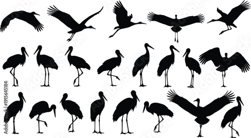 Black vector silhouette set of herons and storks in flying and standing positions for wetland nature branding wildlife conservation and marsh landscape design