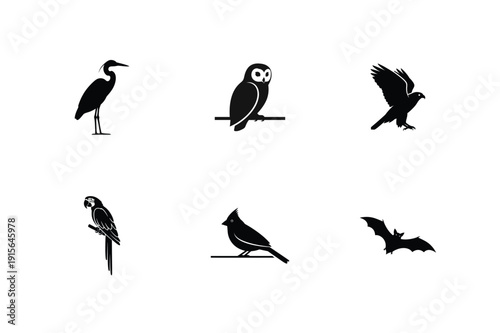 Bird Silhouette Vector Collection Featuring Owl Parrot Hawk and Heron Icon Set On white Background