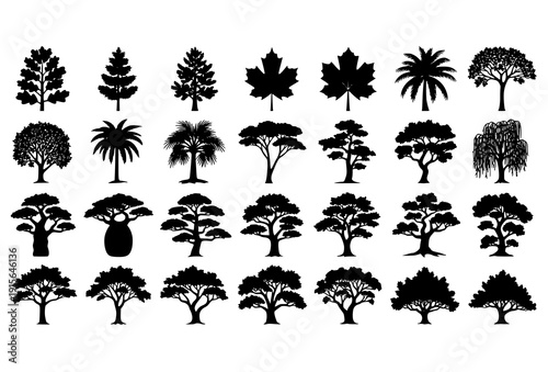 Forest Tree Silhouette Vector Set – Realistic Nature and Woodland Black Shapes Collection