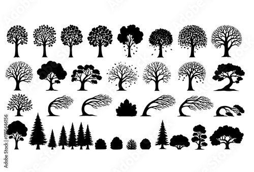 Seasonal Tree Silhouette Vector Set – Spring Summer Autumn Winter Nature Collection