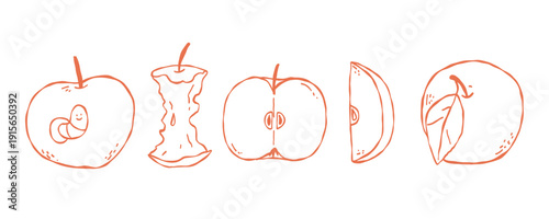 Hand drawn doodle whimsical cliced apple fruit set. Whole, half, slice of red green and yellow apple fruit with green leaves collection.