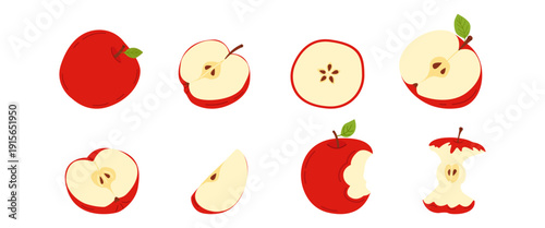 Large vector set of red apples: whole apple, halves, cross-section, slices, a wedge, and a bitten apple with core. A collection of fresh, healthy apples for the fall harvest, school design, culinary 